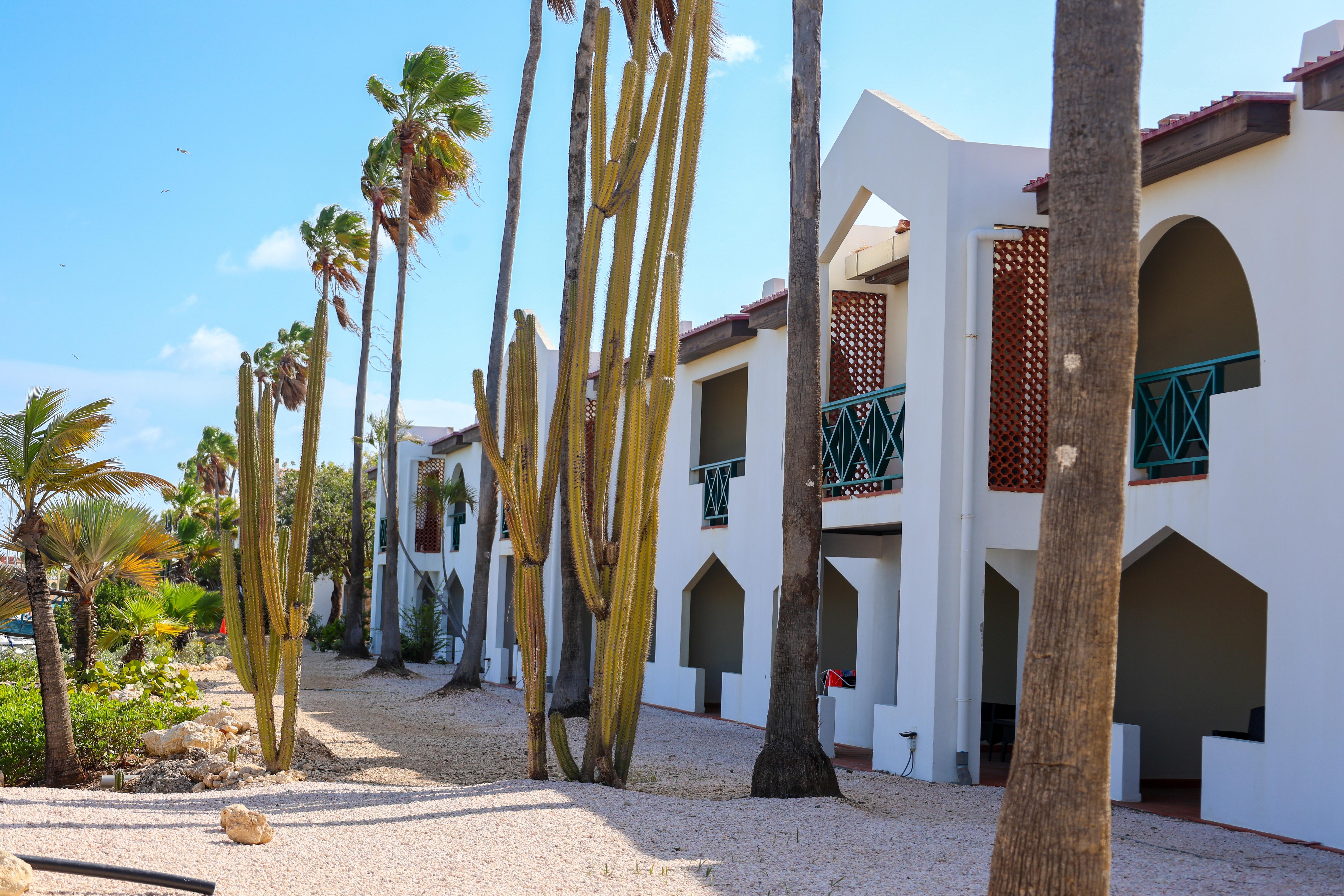 Van Der Valk Plaza Beach & Dive Resort Bonaire คราเลนไดค์ ภายนอก รูปภาพ