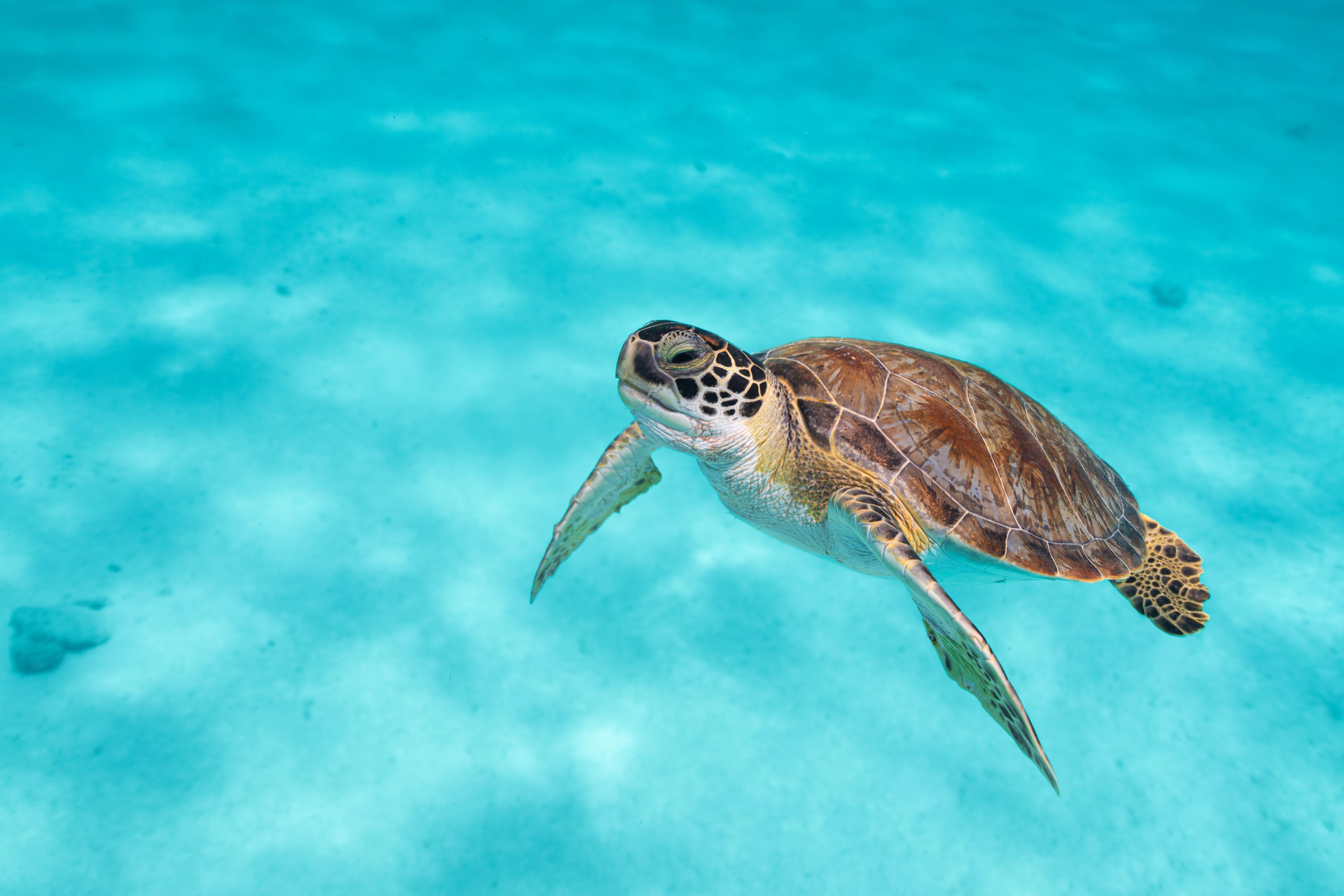 Van Der Valk Plaza Beach & Dive Resort Bonaire คราเลนไดค์ ภายนอก รูปภาพ